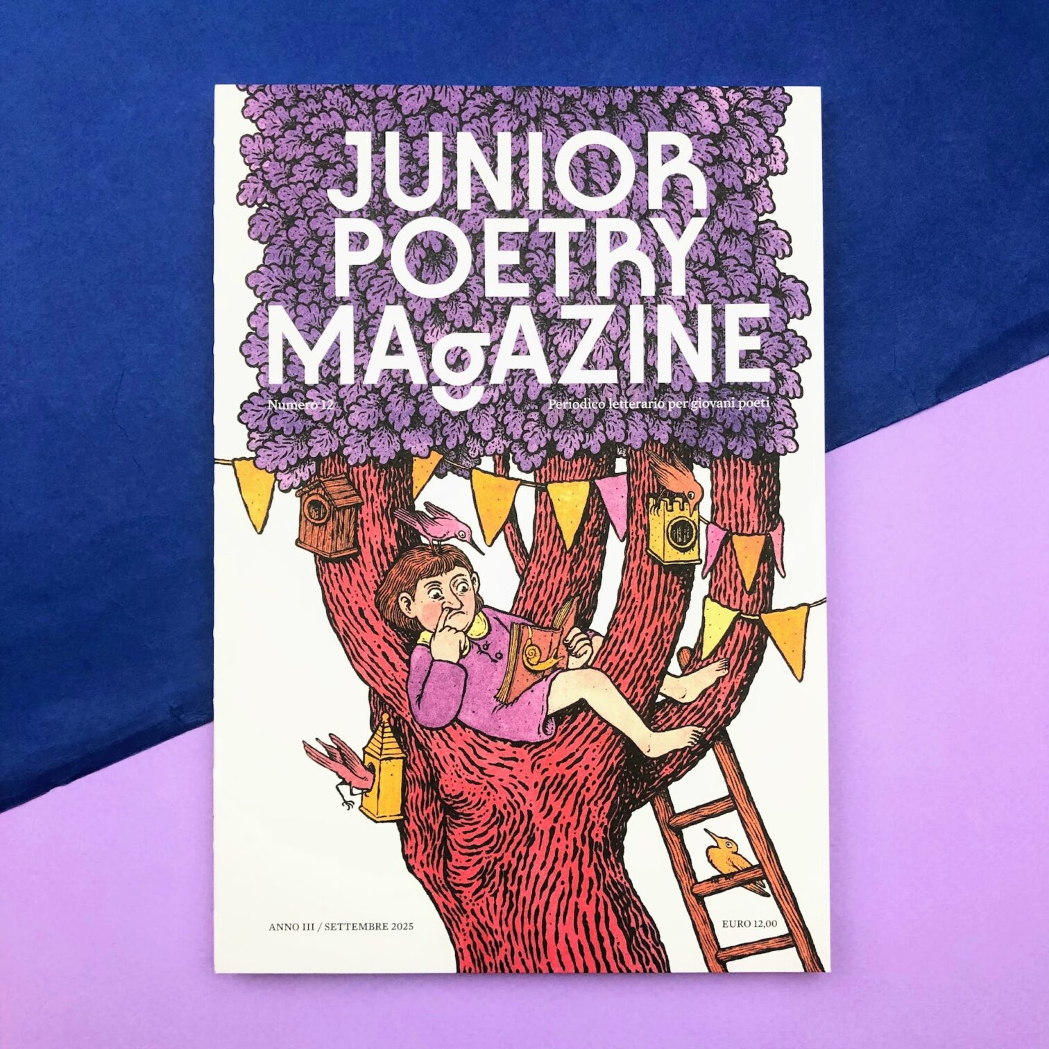 Junior Poetry Magazine N12