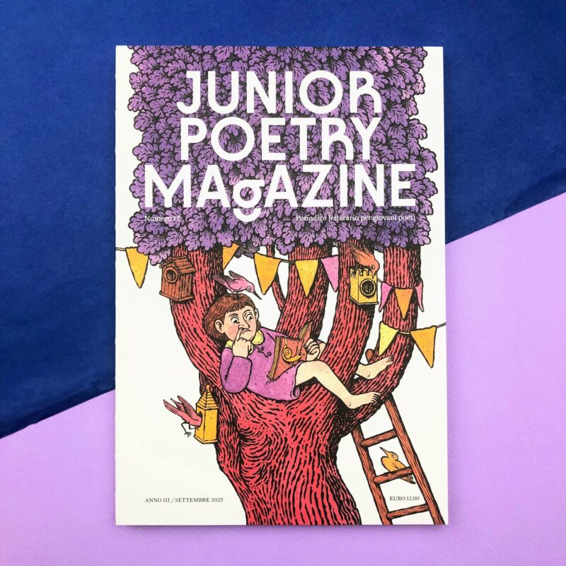 Junior Poetry Magazine 12