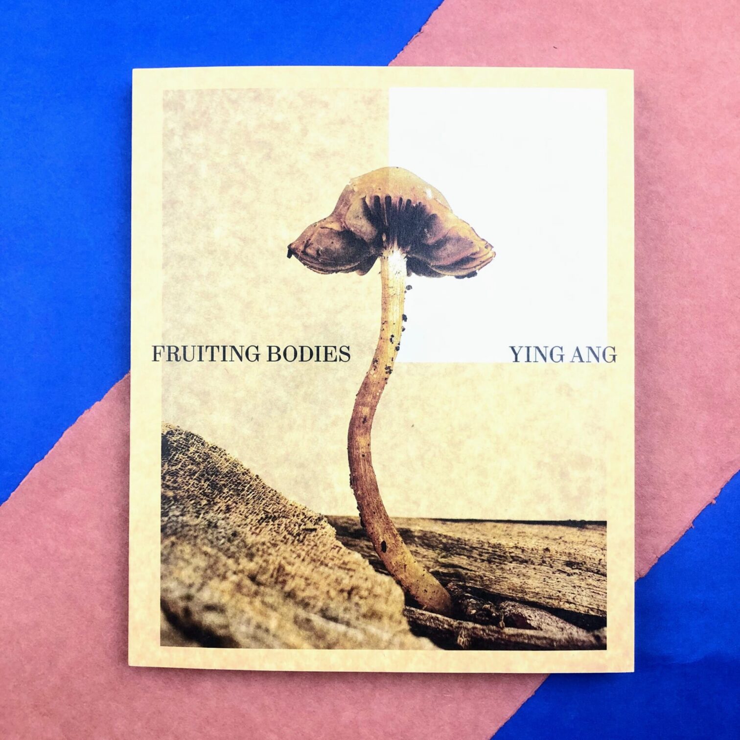 Fruiting bodies