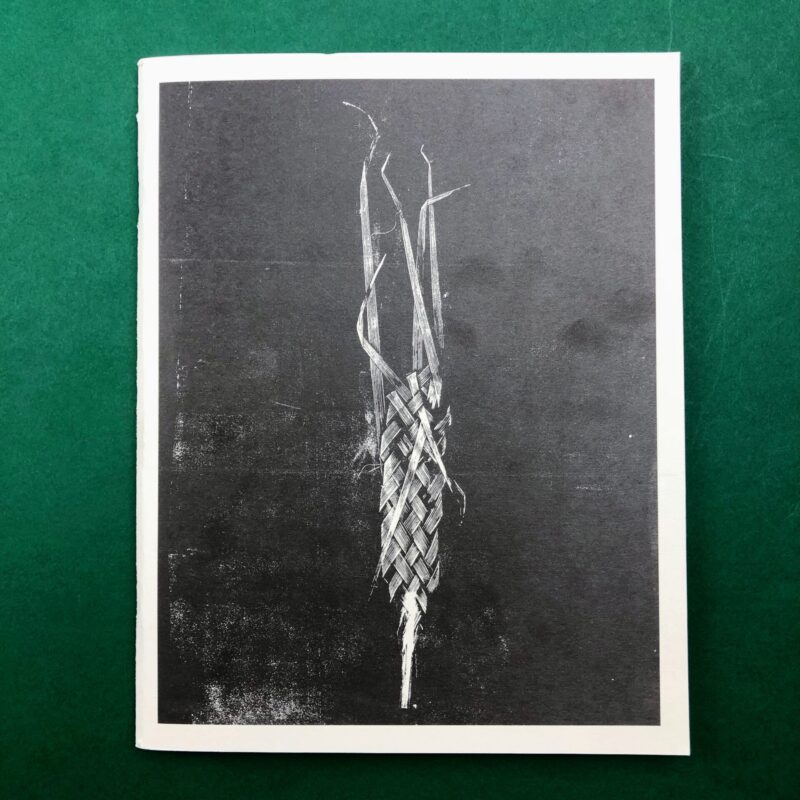 La domenica delle palme