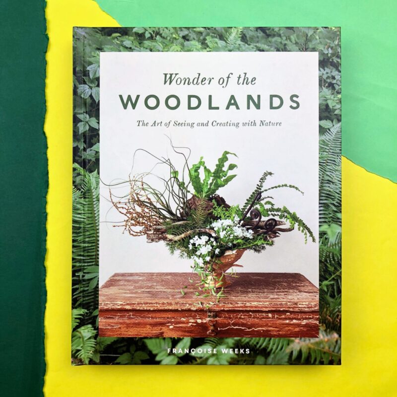 Wonder of the woodlands