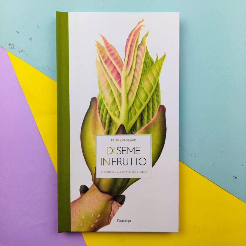 Di seme in frutto