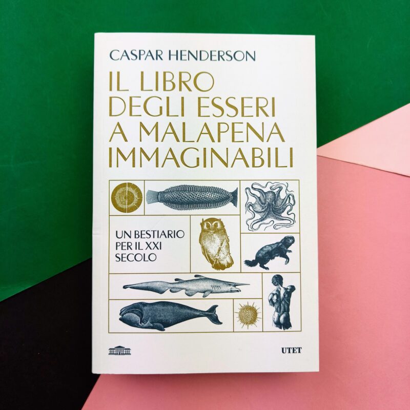 Il libro degli esseri a malapena immaginabili