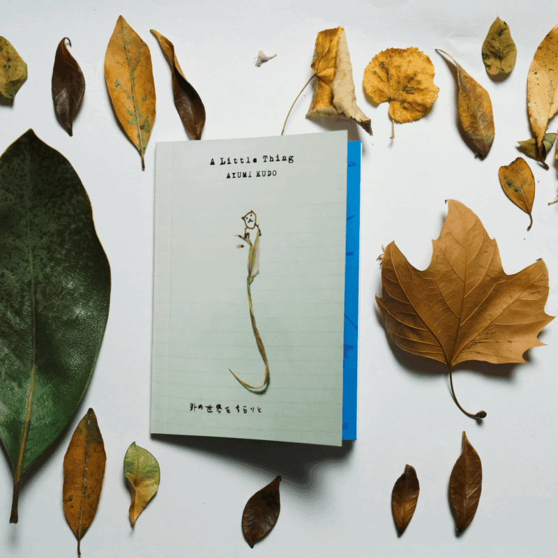 La gioia del libro d’artista