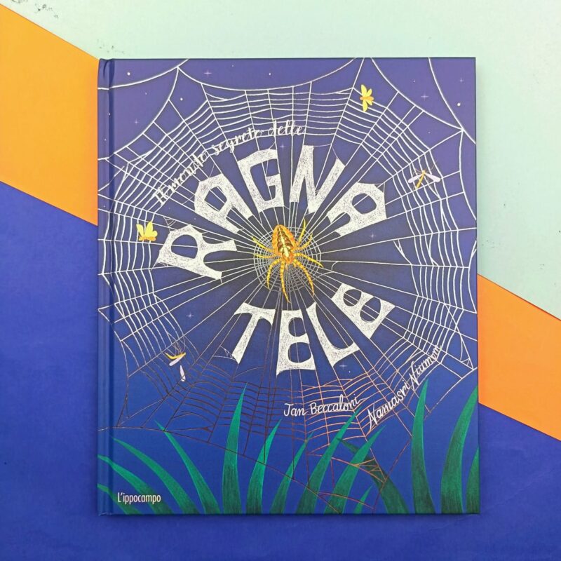 Il mondo segreto delle ragnatele