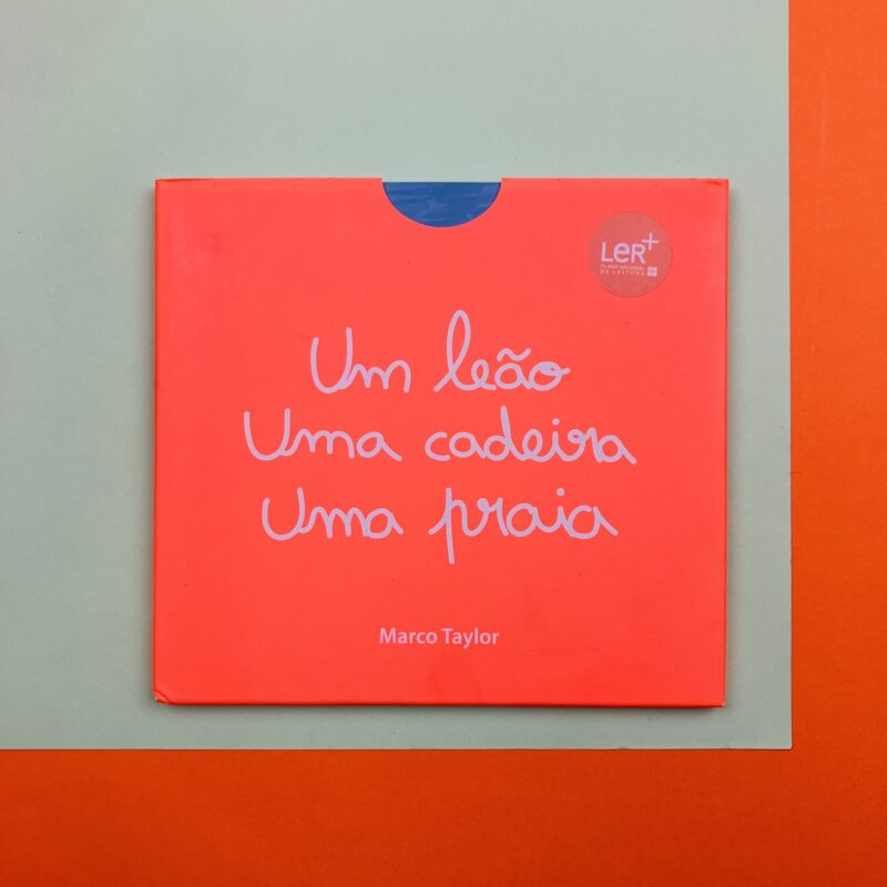 Uma leao uma cadeira uma praia