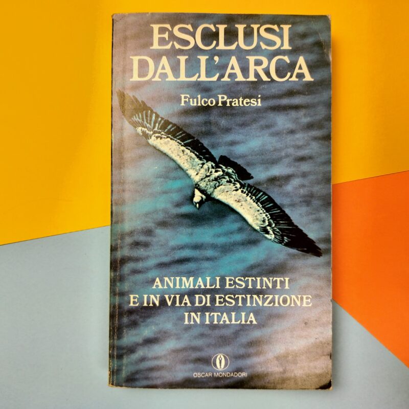 Esclusi dall’arca