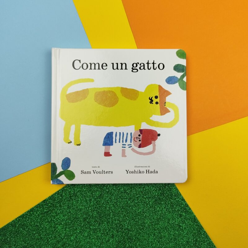 Come un gatto