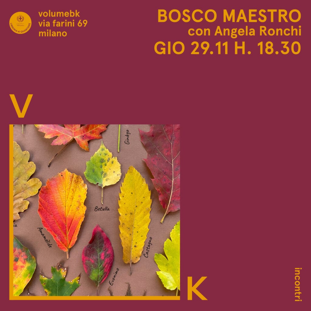 Bosco maestro