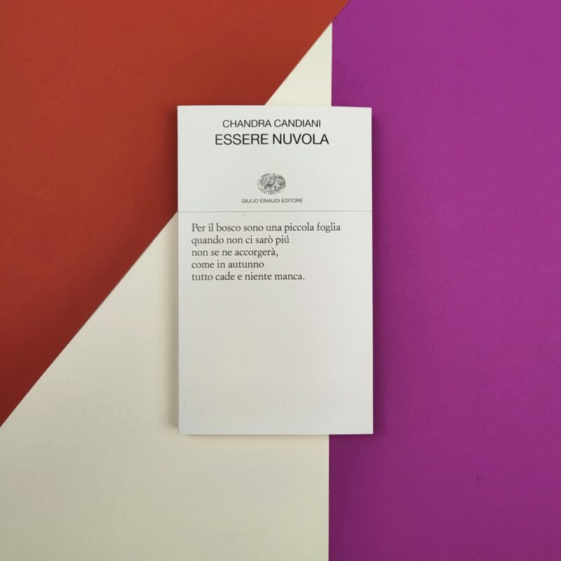 Essere nuvola