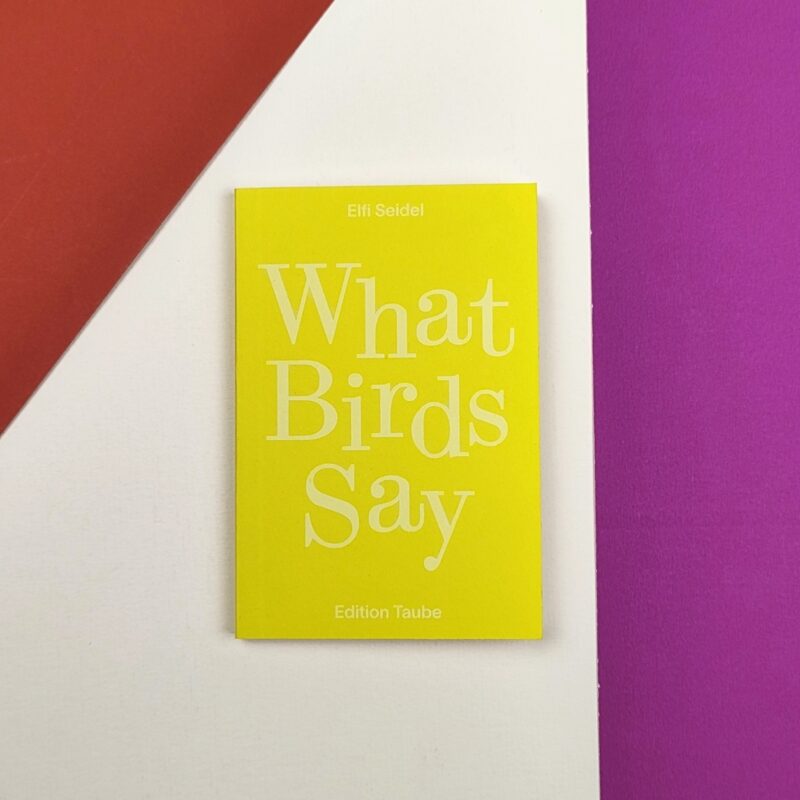 What birds say