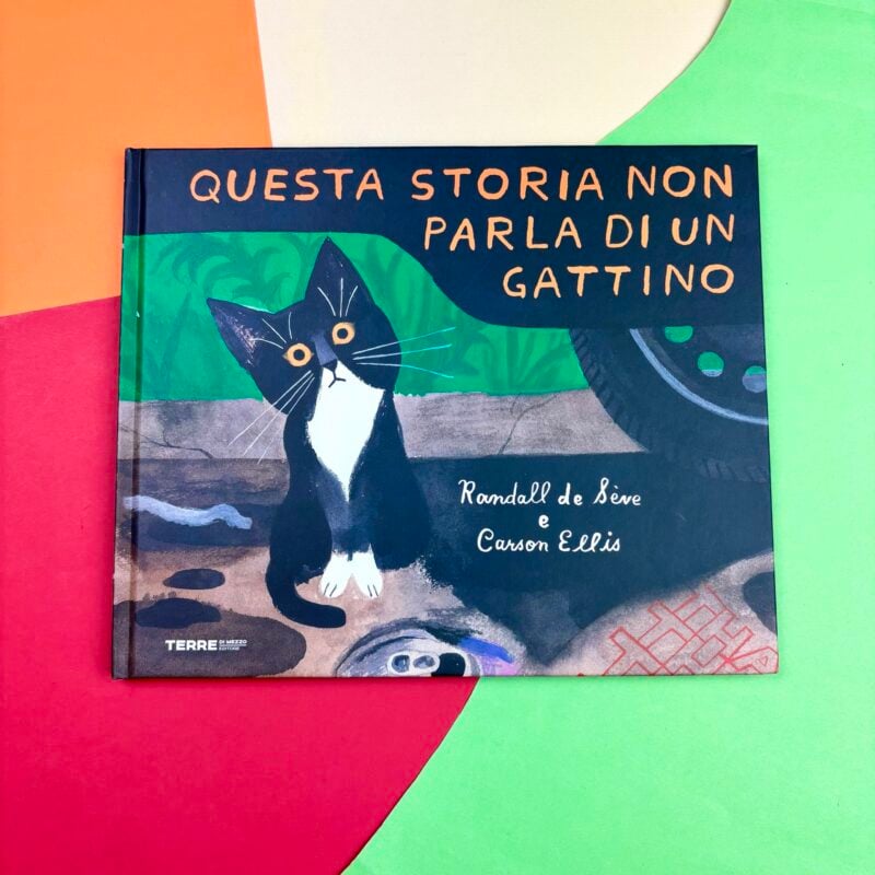 Questa storia non parla di un gattino
